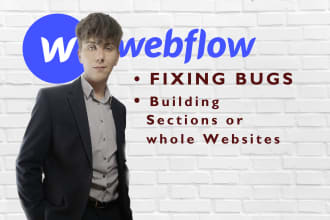 fix your webflow website
