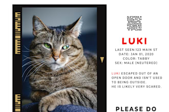 do to help lost pets and support animal adoption flyer
