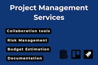 provide all software project management services