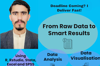 do data analysis and visualization using r, stata spss and excel