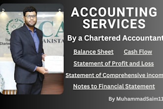 prepare financial statement, balance sheet, profit or loss, and cash flow