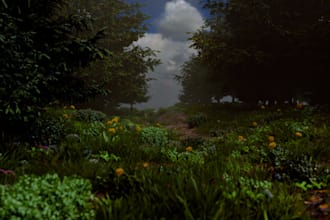 create a 3d environment