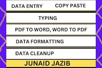 do professionally ms word formatting and data entry work