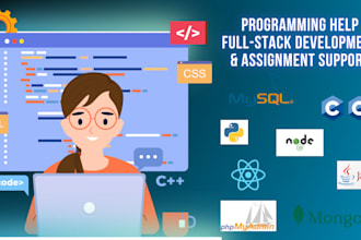 help in computer science and programming project