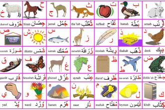 help you to learn  holy quran, arabic language from english