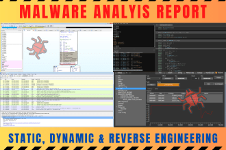 perform deep malware analysis and reverse engineering with report writing