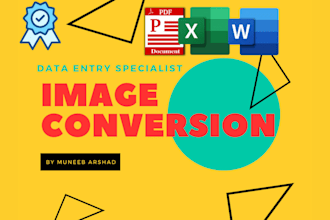 convert image pdf to ms excel word with 100 accuracy in just 12 hours