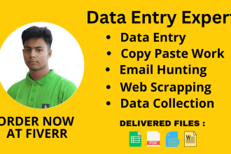 do data entry, copy paste, typing work job, web research, and data convert