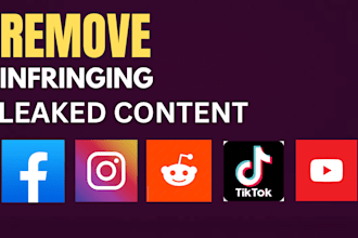 takedown content on tiktok, reddit,instagram,facebook,youtube,twitter under dmca