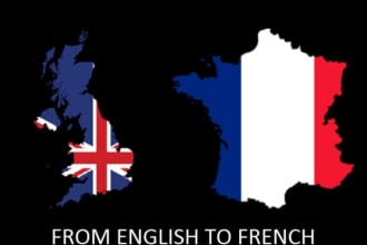 translate or write  anything  for you in french