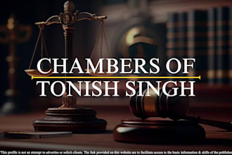 provide expert legal consultation for individuals and corporates
