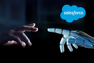 do all salesforce admin and developer tasks