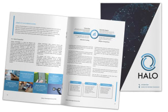 prepare investment teaser and one pager plan for you