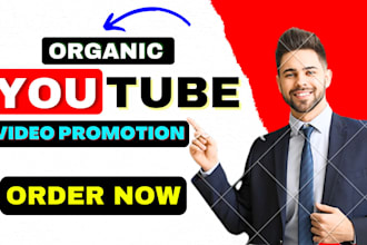 do organic youtube video promotion