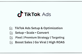 setup high converting tiktok ads for ecommerce and brands