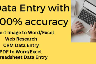 do fastest data entry, internet research in one day, convert PDF to excel word