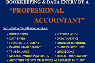 be your bookkeeping and data entry specialist