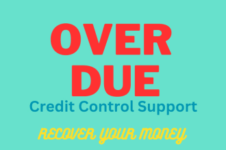 provide credit control support recover over due receivables