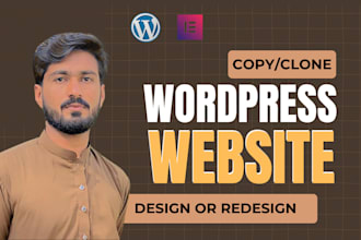 design  redesign copy clone wordpress website using elementor pro