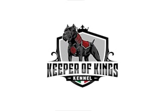 design professional animal cartoon character and mascot logo