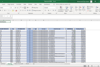 sort filter and format data with expert excel services