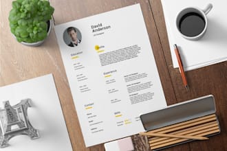 design a creative CV, resume for you in less than 24 hours
