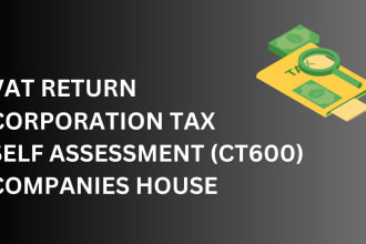 do self assessment sa 100 ct600 vat return and financial statements