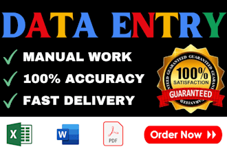 accurate and fast data entry, typing work, data cleaning at a low price