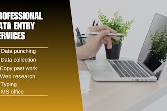 do professional data entry services