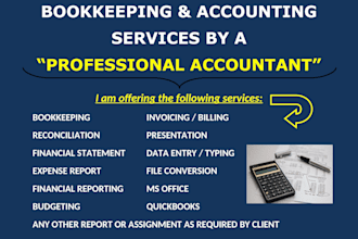 do accounting and bookkeeping services in a professional way