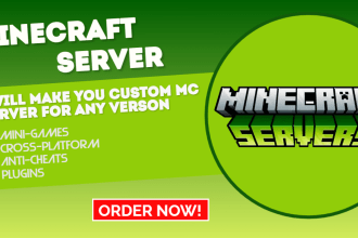 make you a custom minecraft server for any verson