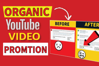 do super fast organic youtube video promotion with google ads