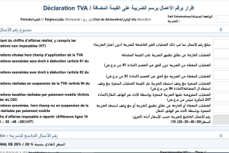 manage moroccan accounting, bookkeeping and tax preparation