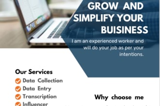 excel data entry for you