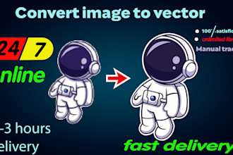 vectorize image ,vector tracing and image to vector