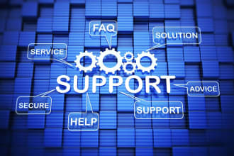 do professional technical support and IT services
