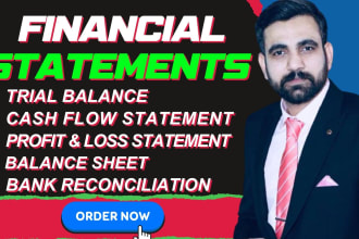 prepare financial statements, profit and loss, cash flow