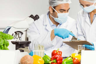 help create food product formulation