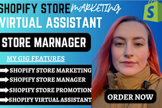 do complete shopify marketing to boost shopify sales, website promotion
