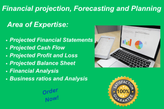 prepare financial projections,  and forecasting