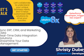 be your salesforce developer, trigger, lwc expert