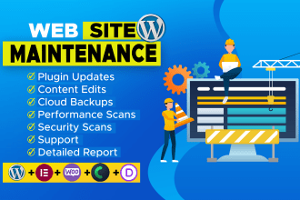 provide your wordpress website maintenance and technical support