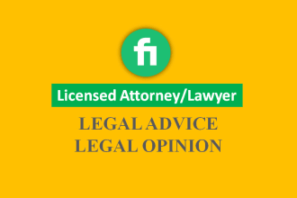 provide you expert legal opinion and advice