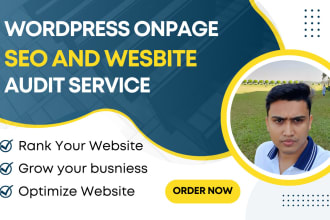 do full website audit and wordpress onpage SEO