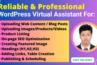 do blog posting, content upload as virtual assistant or wordpress va