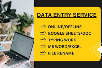 do data entry typing work job, typing job, data typing, excel work online