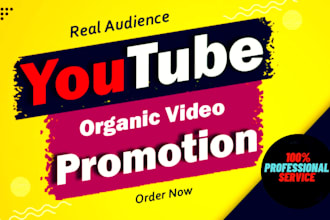 do fast youtube video and channel promotion with google ads to gain views