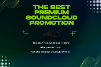 offer premium soundcloud promotion through reposts