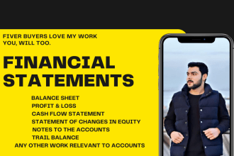 prepare financial statements, profit and loss, cash flows