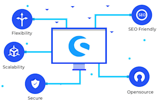 develop a professional shopware online store